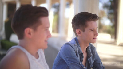 Худые парнишки занялись гей сексом после прогулки