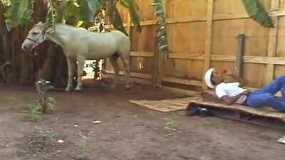 Молодой ковбой на ранчо сосет член снимаясь в гей порно